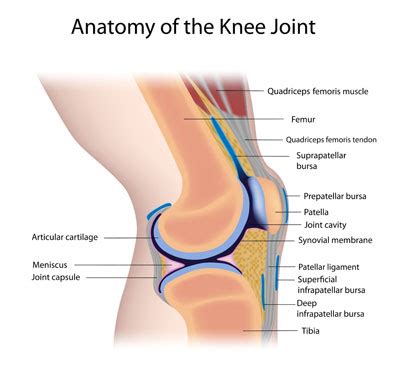 Knee Pain Treatment