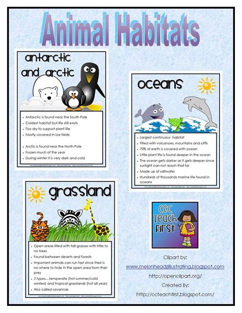 Clip Art by Carrie Teaching First | Kindergarten science, Animal habitats, Homeschool science