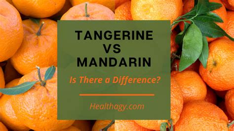 Tangerine vs Mandarin: Is There a Difference? - Healthagy