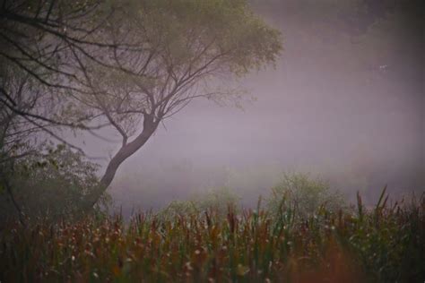 Early Morning Fog – Kenneth Paul Photography