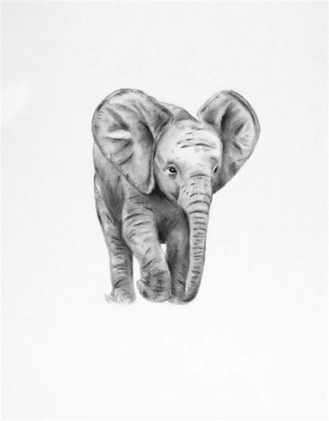 Elephant Art ORIGINAL Charcoal Drawing of Baby Elephant