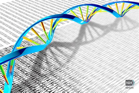 Landmark Study: Sequencing of 64 Full Human Genomes to Better Capture Genetic Diversity