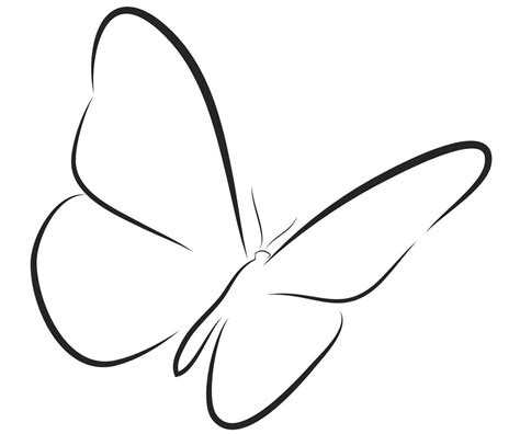 Butterfly line art Butterfly Drawing Outline, Simple Butterfly Tattoo, Butterfly Line Art ...