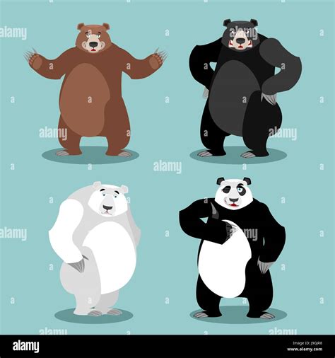 Asiatic black bear panda Stock Vector Images - Alamy