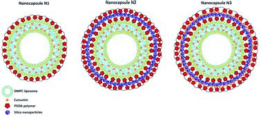 Liposome-based nanocapsules for the controlled release of dietary curcumin: PDDA and silica ...