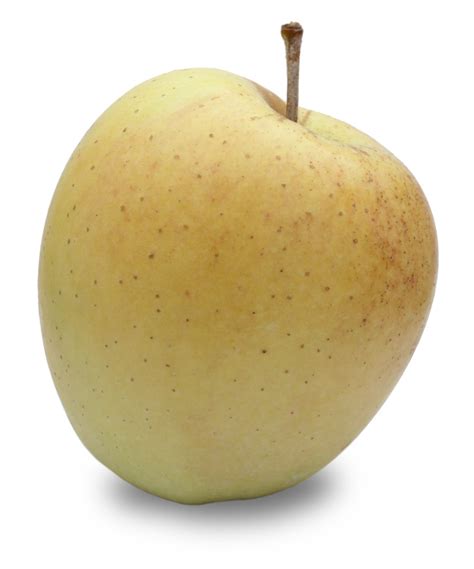 Golden Delicious Apple | Bulk Natural Foods