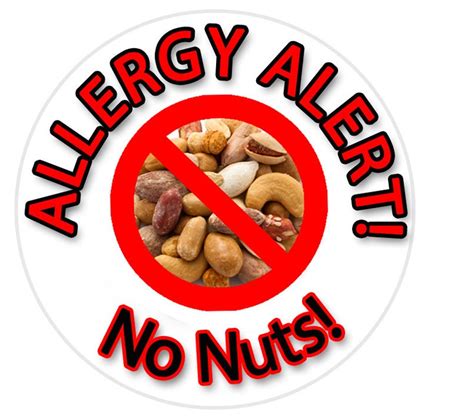 No Nuts Sticker Allergy Sticker Nut Allergy Sticker Allergy - Etsy