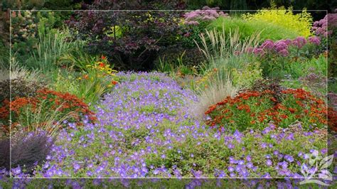 Long-Blooming Perennials for a More Beautiful Landscape