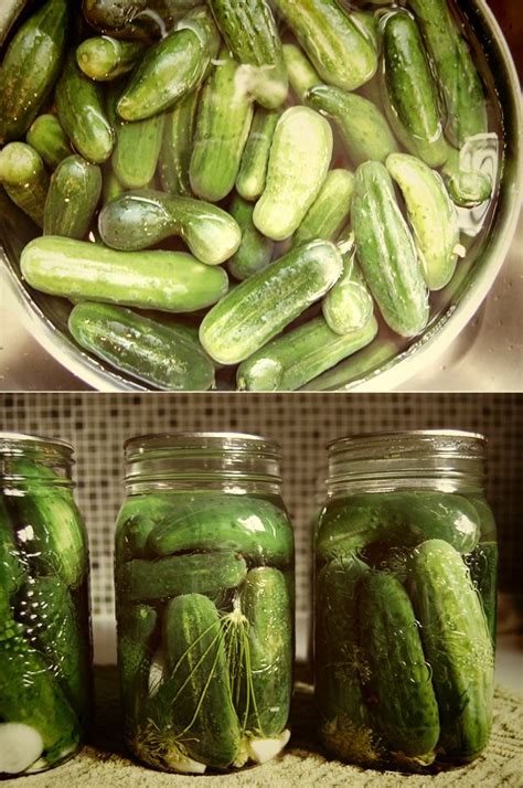 Pin on Pickling