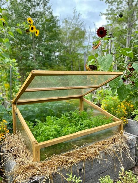 Cold frame planter greenhouse grow shed plant cover Cold frame | Etsy