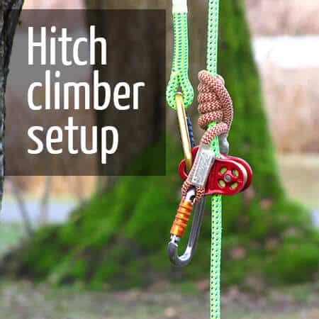 Basic tree climbing techniques : ClimbingArborist.com