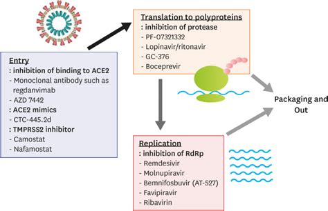 Antivirals for Coexistence with COVID-19: Brief Review for General Physicians