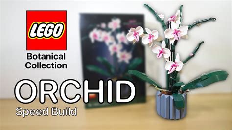 Lego Orchid Botanical Collection - Speed Build - YouTube