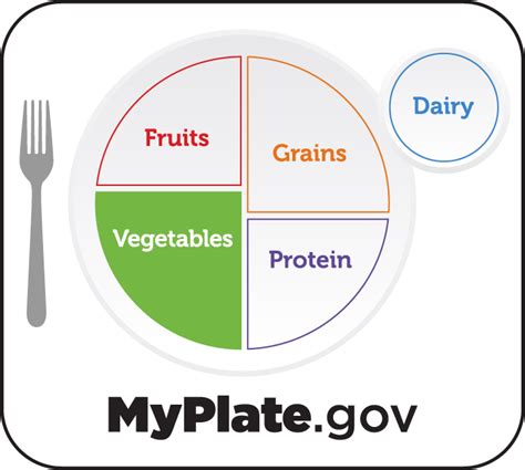 MyPlate Food Groups: The Ultimate Guide to Pursuing Balanced Nutrition ...