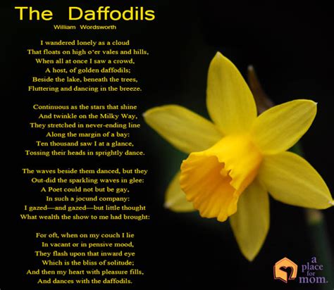 Quotes about Daffodils (41 quotes)