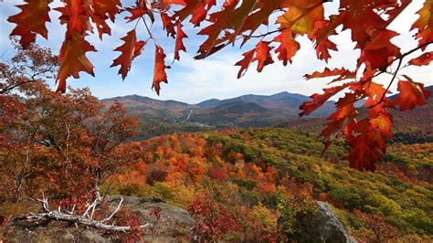 Peak fall foliage Adirondacks 2023: Where to see best colors this week