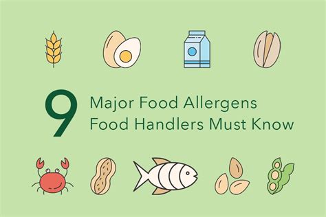 The 9 Major Food Allergens Food Handlers Must Know – FoodSafePal®