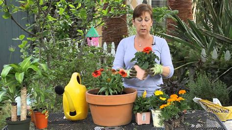 How to Plant Beautiful Containers With Annual Flowers : Garden Space - YouTube