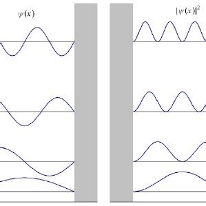 4: Quantum harmonic oscillator eigenstates. | Download Scientific Diagram