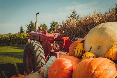 Fall Harvest Time Photograph by Mary Smyth