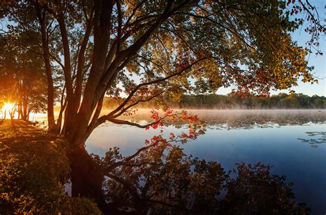 Lake Tree Reflection, HD Nature, 4k Wallpapers, Images, Backgrounds ...