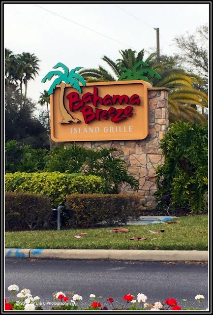 Ocala, Central Florida & Beyond: Bahama Breeze - Tampa