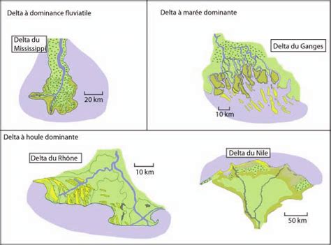 Exemple des trois principaux types de delta (d'après Nichols, 2009 ...