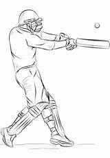 Cricket Coloring Pages sketch template