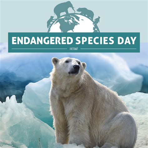 Endangered Species Day | Pet holiday, Endangered species, Endangered