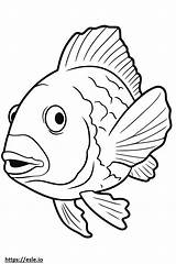 Crappie Fish Cute coloring Page sketch template