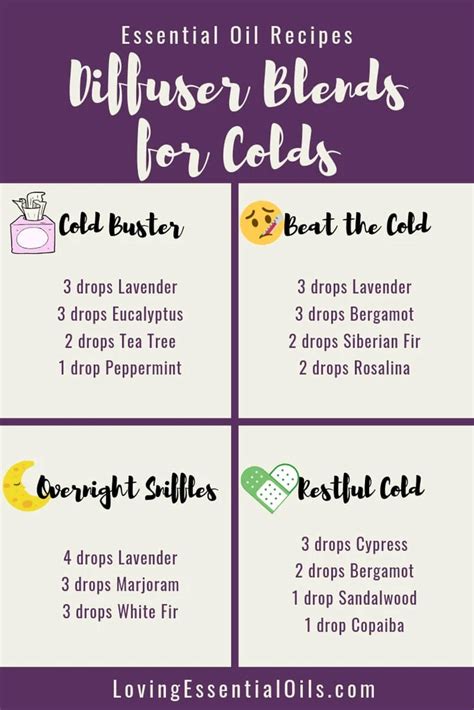 Diffuser Blends for Colds | Recipe | Essential oil diffuser blends recipes, Essential oils for ...