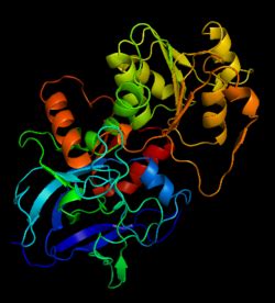 Alcohol dehydrogenase - Proteopedia, life in 3D