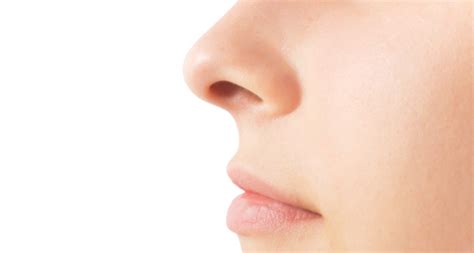 Burning Sensation in Nose: Know the Causes and Treatments | New Health Advisor