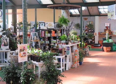 Oderings Garden Centre |Palmerston North - Extensive range of quality plants, friendly staff