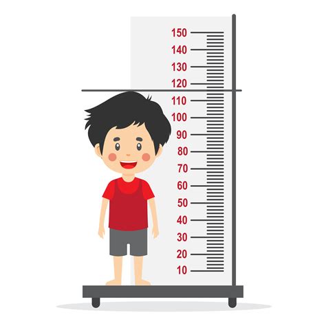 Height Measurement Vector Art, Icons, and Graphics for Free Download