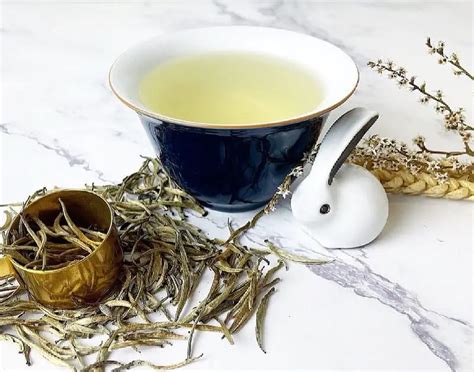 Does White Tea Have Caffeine? Learn About White Tea