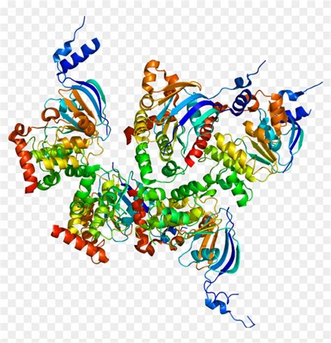 Protein Cftr Pdb 1xmi - Cystic Fibrosis Protein, HD Png Download ...