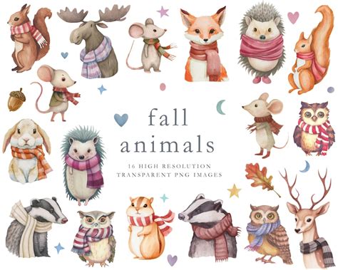 Cute Animals Clipart, Watercolor Animals, Fall Clipart, Autumn Clipart ...