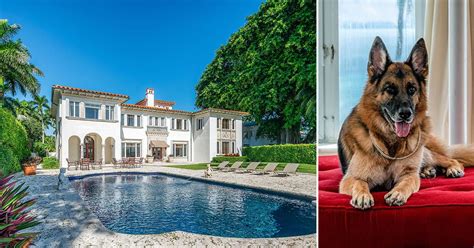 World's Richest Dog Selling Madonna's Miami Mansion: Photos