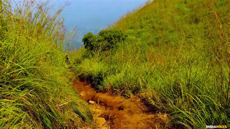 Chembra Peak Trek - Trek to the Heart-Shaped Lake in Kerala