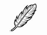 Easy Feather Coloring Page  sketch template