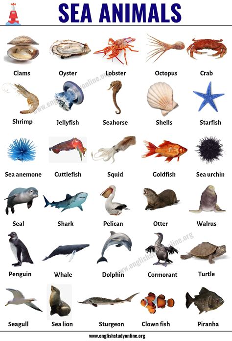 Images Of Water Animals With Their Names