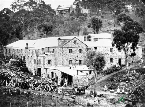 Coromandel Valley & Districts Branch National Trust SA (CVDNT ...