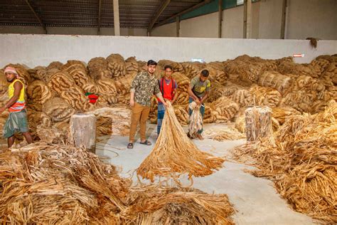 First Cotton Mill in India | The Creative Post