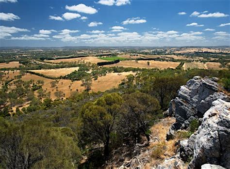 Mount Barker Summit - Mount Barker Summit, Attraction | South Aus...