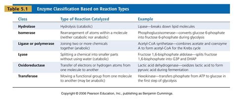 Pin by Donielle Miller on BCHM 2024: Concepts of Biochemistry | Enzymes ...