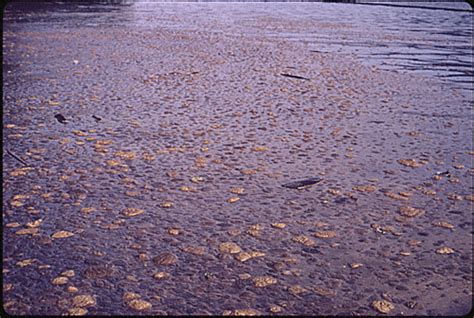 Public Domain: Documerica: Ohio River Pollution by John Alexandrowicz, 1973 (NARA) | Flickr ...