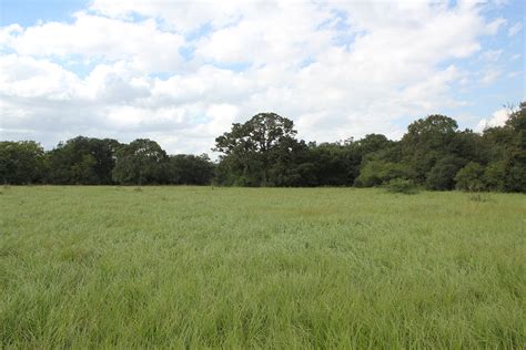 248 Acres For Sale - Carancahua Creek Ranch - Under Contract > M4 Ranch Real Estate