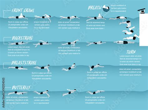 illustration vector info graphic of swimming strokes style, swimming ...