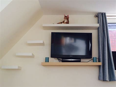 Cat shelves DIY - There's no tutorial, but as you see these are floating shelves. Diy Cat ...